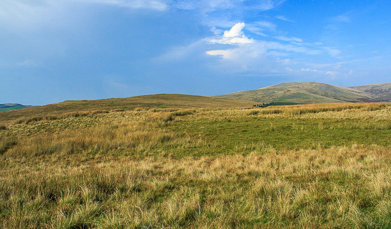 Lank Rigg